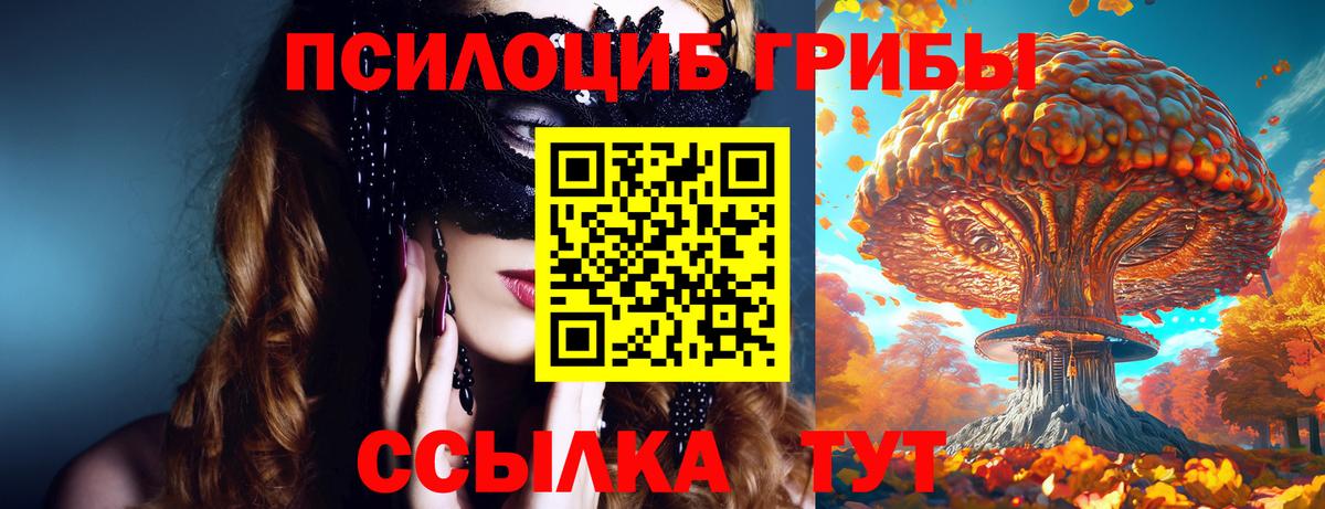 Псилоцибиновые грибы Magic Shrooms  цены   Вход с VPN  Корсаков  Псилоцибиновые грибы Cubensis 