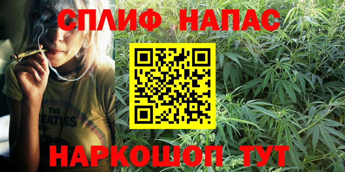 Бошки Шишки гибрид Корсаков